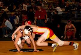 Wrestlers prove their stuff at WSAZ tournament