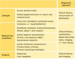 Image result for Liver Function Test