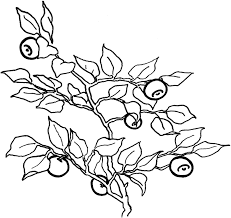 Parents may receive compensation when you click through and purchase from links contained on this website. Online Coloring Pages Coloring Page Blueberries Berries Coloring Download And Print Free