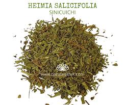 Image result for Heimia salicifolia