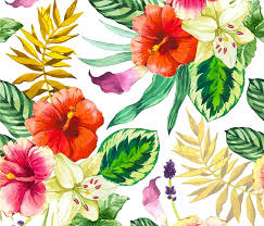 1 cup (250 ml) plain flour +1/2. Hd Pink Red Hibiscus Wallpapers Peakpx