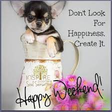 Our funny friday quotes and sayings pay tribute to the day that serves as the gateway to the weekend. Funny Weekend Quotes Happy Healthy Quotesgram