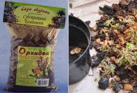 Researchers discovered hundreds of years ago that soil simply holds mineral nutrients close to plant roots, but there are all sorts of plants growing around you, from grass and trees to flowers and vegetables. How To Grow Grass For Cats In Soil Without Soil Where To Get Seeds