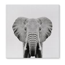 Black And White Elephant Wall Pictures Kavka Designs Elephant Grey Black White Canvas Art White Canvas Art Elephant Canvas Elephant