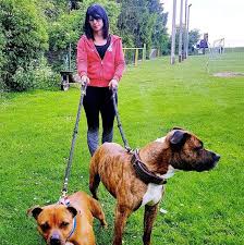 Tu es juste un déchet c'est tout penser qu'une fille est attirée seulement par l'aspect financier est une réflexion de low iq biensûr que les femmes comment pouvez vous aimez une fille quand son amour est défini par des paramètres tel qu'être capable de générer de l'argent les dix premières secondes. Femme Enceinte Tuee Par Morsures De Chien L Un De Ses Chiens Incrimine