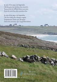 Armor Amor: 9782368682142: Burel, Florence: Books