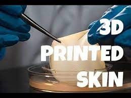 3d Printed Bio Skin Now A Reality 3d Printer Skin Today 3d Printed Heart Kidney In The Future 3dprinted Customdes 3d Printed Heart Prints 3d Printing