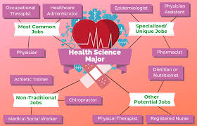 12 Jobs For Health Science Majors The University Network In 2020 Health Science Healthcare Administration Doctor Of Physical Therapy