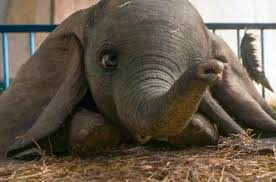 Image result for tbn:ksc_2VwDqVhZRM::www.decine21.com/EstructurasBd/Peliculas/N2393/Imagenes/escalofrio11.jpg