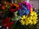 Flowers jigsaw puzzles free is the best choice for you! Free Flower Jigsaw Puzzles Downloads