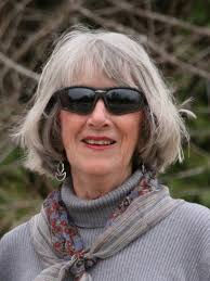 DC Published Authors Collective: Jan Wrede