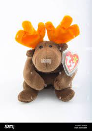 First Generation 1993 Beanie Babies Chocolate The Moose By Ty Warner Inc Stock Photo Alamy