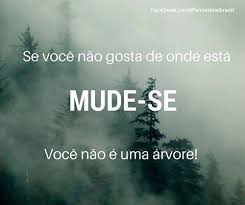Resultado de imagem para #ser