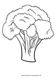 Ausmalbilder Malvorlagen Gemuese Blumenkohl Ausmalbilder Ausmalen Kostenlose Ausmalbilder