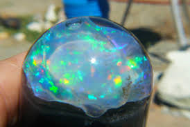 Search for opals in northern Nevadas Virgin Valley