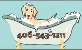 Visiting pet care clinic, buy online pickup in store, live small pets, live crickets, dog wash, grooming, live fish, deliver from store. Pet Supplies Showcase Pet Grooming Supplies Llc