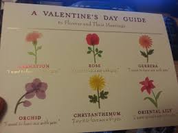 What to write in the valentine's day card? Flower Meanings According To My Girlfriend She S A Keeper Imgur