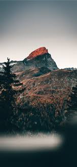 Cold Mornings In The Mountains Iphone X Wallpaper Tree Forest Mountain Woodland Iphone Wallpaper Mountains Forest Wallpaper Iphone Best Iphone Wallpapers A collection of the top 68 mountain iphone wallpapers and backgrounds available for download for free. cold mornings in the mountains iphone x