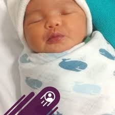 Gigih igat paku pakis cabut p tanam.. Hihi Jiran kata bkn paku pakis Nayaa 