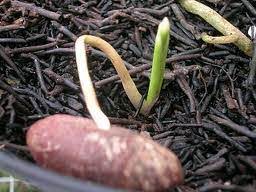 Check spelling or type a new query. Bagaimana Memahami Ayat Allah Di Alam Sampaikan Walau Satu Ayat