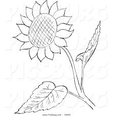 Find high quality sunflower clipart black and white, all png clipart images with transparent backgroud can be download for free! Clip Art Of A Sunflower And Leaves Black And White Line Art By Picsburg 56250 Flower Drawing Sunflower Coloring Pages Sunflower Clipart