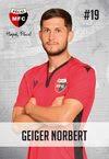 Norbert Geiger