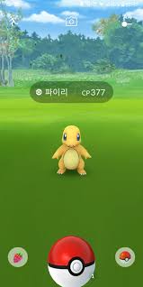 파이리 꼬리의 불꽃은 생명의 등불이다. Pokemon Go íŒŒì´ë¦¬ ì´ë¡œì¹˜ Steemit
