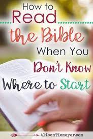 耽美漫画推荐 黄色一级做爱片 狗老公全文阅读目录 bible study tips bible scripture study