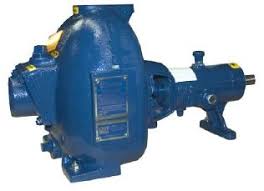Gorman-Rupp - 82E20-B - Basic Pedestal Self-Priming ...