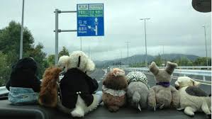 japan s travel agency for stuffed animals is so heartwarming japanese travel animals travel agency