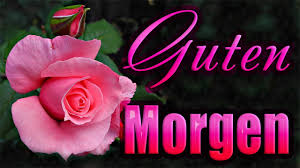 Nanu, was ist denn mit dir los? Guten Morgen Wunsche Dir Einen Schonen Tag Liebe Grusse Fur Dich Youtube