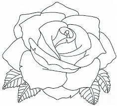 Pin By Emilda Javier Cruz On I Like Flower Drawing Fabric Painting Roses Drawing