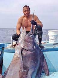 We use a variety of lures that there is no facilities in kona that will package and ship your fish. Hawaiian Spearfisherman Takes New World Record Marlin Outdoorhub
