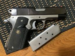 Image result for Beige 1980 Colt