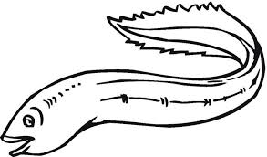 Bjs Com Feedback For Survey And Rules Sea Eel 2 Coloring Page Super Coloring Coloring Pages Free Printable Coloring Pages Printable Crafts