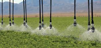 The first company i had out was a no call no show, the next day when i called them again they showed up late. Valley Irrigation Center Pivot And Linear Irrigation Systems