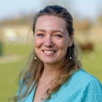 800+ "Bouma" profiles