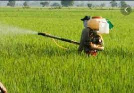 Bersihkan rumput dalam jangka waktu tertentu dan lakukan juga secara rutin. Anim Agro Technology Keselamatan Dan Perlindungan Meracun Part 2