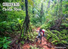 Your corcovado national park stock images are ready. 2021 Guide To Corcovado National Park Costa Rica James Kaiser