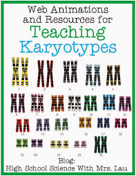 Teaching About Karyotypes And Chromosomes Science And Math With Mrs Lau High School Science Biology Lessons Biology Classroom