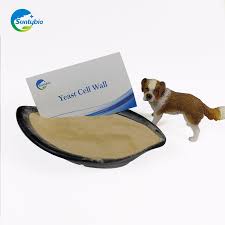 Yeast cell wall animal feed. High Yeast Beta Glucan And Mannan Brewer Yeast Cell Wall For High Quality Animal Feed And Additives Buy Yeast Cell Wall Brewer Yeast Animal Feed Additives Product On Alibaba Com