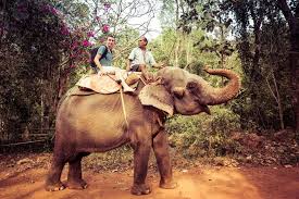 Elephant-Back Wildlife & Tiger Safaris ...