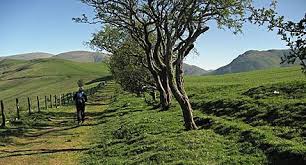 Dumfriesshire definition at dictionary.com, a free online dictionary with pronunciation, synonyms and translation. Dumfriesshire Wikiwand