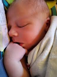 Ruger D. "Little Ru" Bickel Obituary