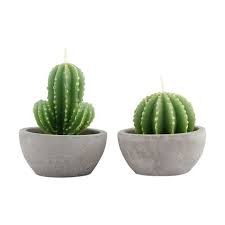 Cactus Candle Assorted Kmart Cactus Candles Cactus Candle Holders