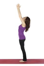 After the sanskrit name, you have the most common english name of the pose. 101 Popular Yoga Poses For Beginners Intermediate And Advanced Yogis