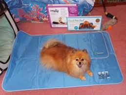 Absorbz optimum training pads for dogs. Cooling Pad For Dogs Keeping Your Best Friend Happy And Cool
