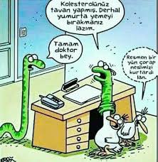 Ali Kus Adli Kullanicinin Gulmece Panosundaki Pin Komik Karikatur Komik Hikayeler