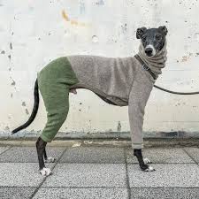 Italian Greyhound Clothing Fleece Etsy Ropa Para Perros Mascotas Perros