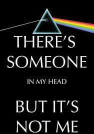 There S Someone In My Head But It S Not Me Pink Floyd Lyrics Pink Floyd There S Someone In My Head But It S Not Me Fridge Magnet 2 5 X 3 5 Pink Floyd Lyrics Pink Floyd Songs Pink Floyd Art